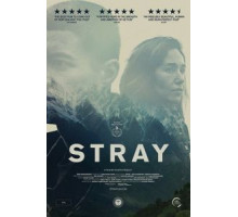 Заблудшие (2018)
