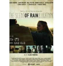 Запах дождя и молнии (2017)