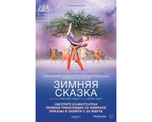 Зимняя сказка (смотреть онлайн)